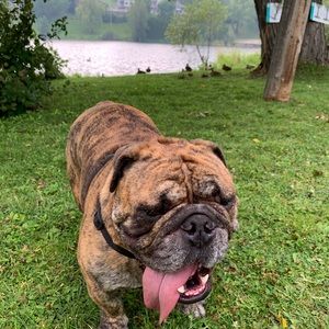 Meet your Posher, Tchad